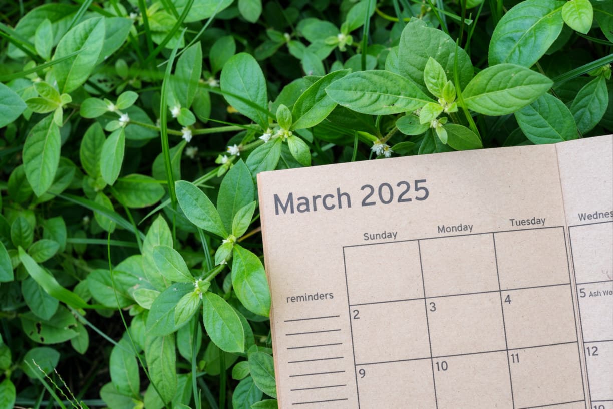 Monthly Garden Maintenance