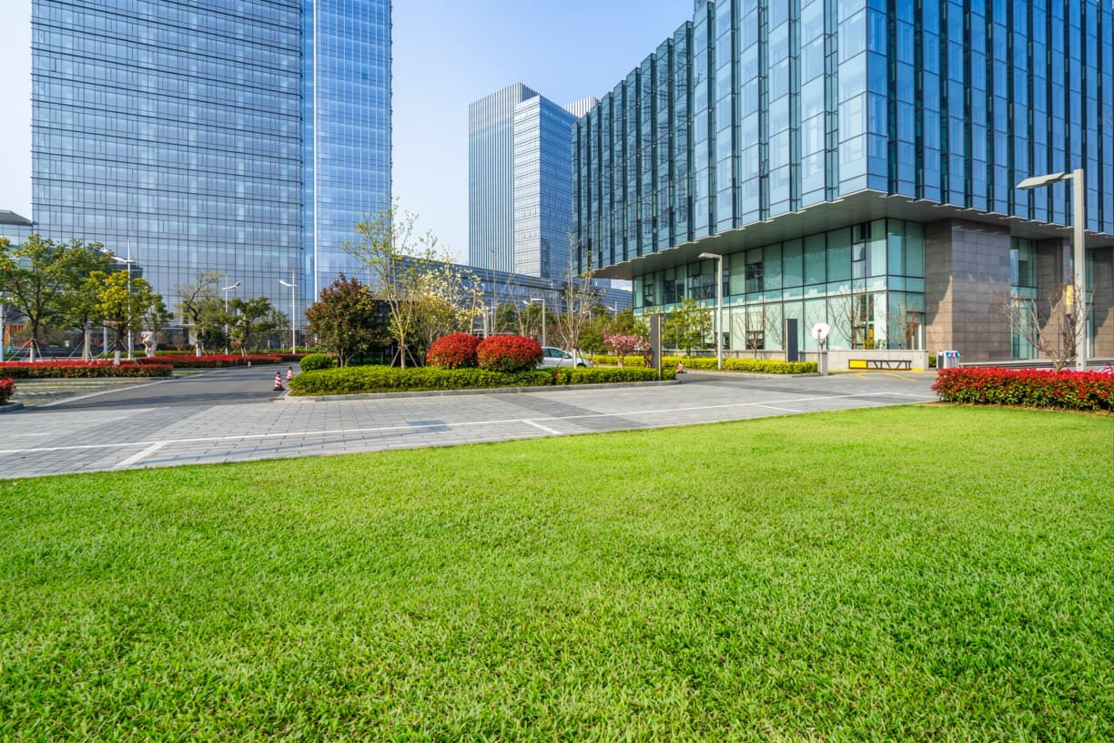 Commercial Garden Maintenance