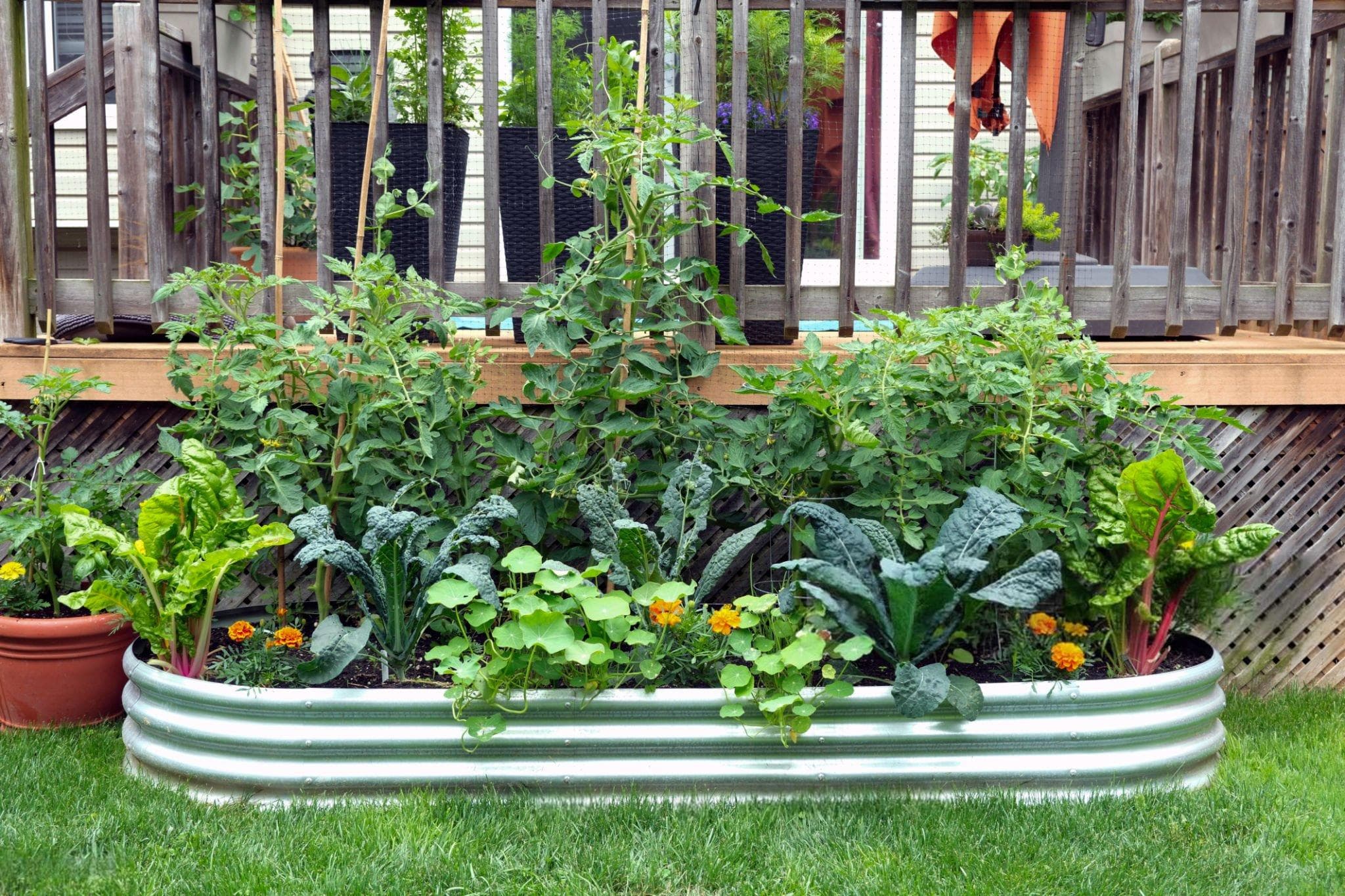 Garden Bed Maintenance