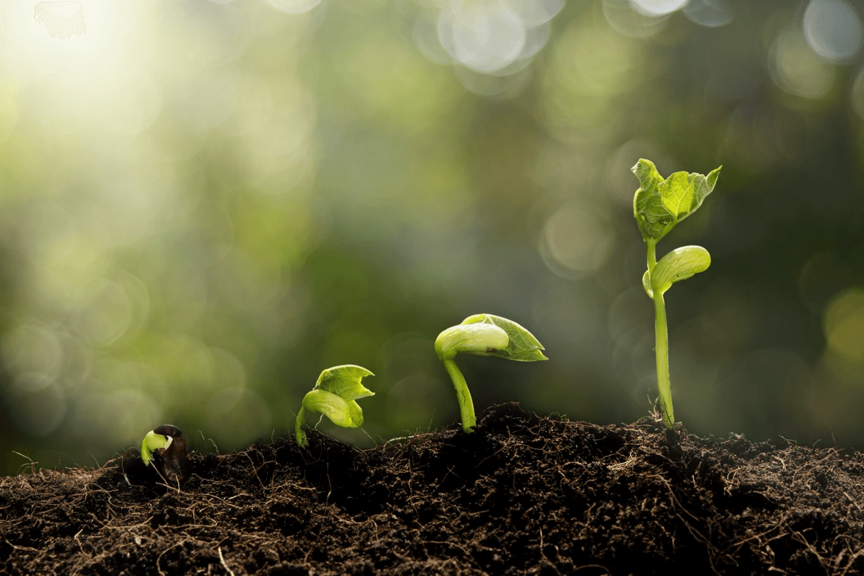 Plant Health Care