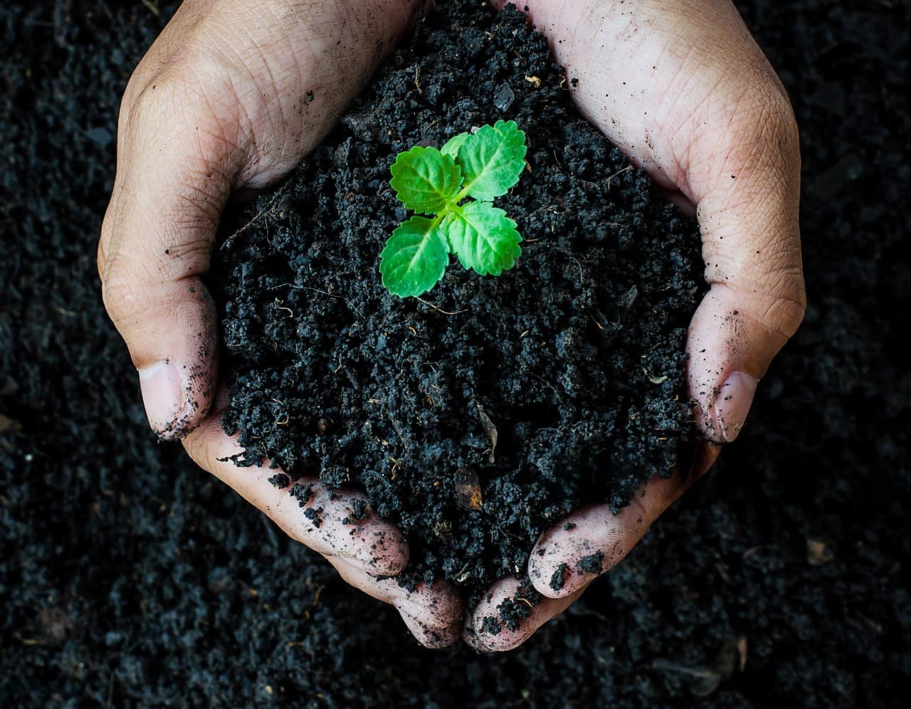 Compost & Soil Conditioning